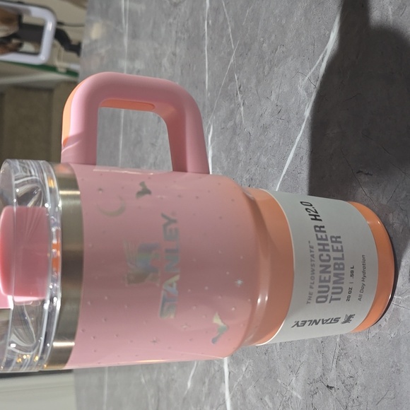 STANLEY HALLOWEEN 20OZ STAINESS STEEL H2.0 FLIESTATE QUENCHER SPELLCAST PINK - Picture 2 of 5